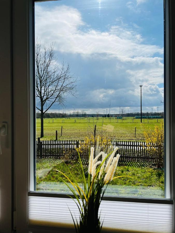 Helles Ferienhaus Storchenblick 布赫霍尔茨 外观 照片
