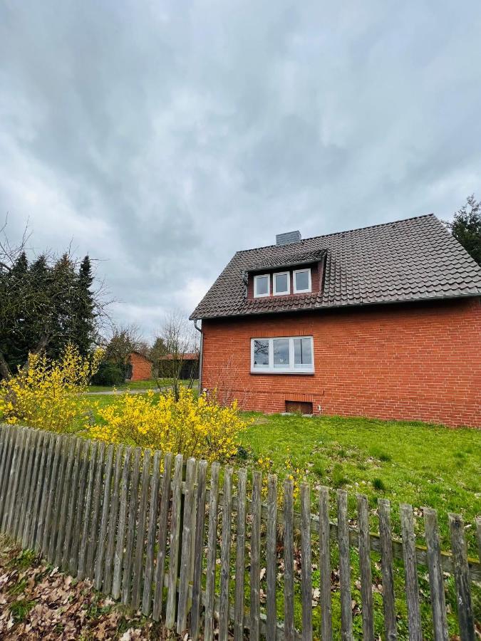 Helles Ferienhaus Storchenblick 布赫霍尔茨 外观 照片